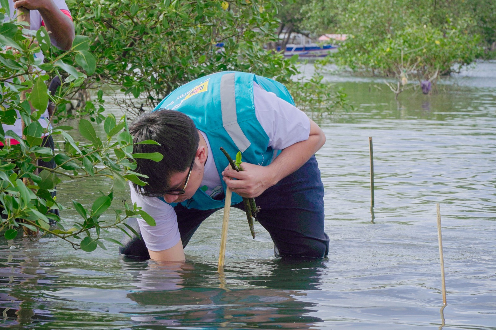 Peringati Hari Bumi 2026, PLN IP PLTD Selayar Perkuat Ekosistem Pesisir Lewat Penanaman Mangrove
