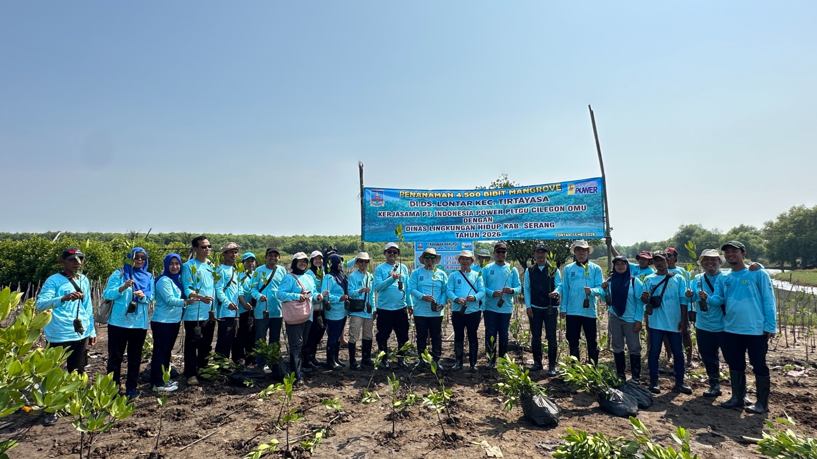 PLN Indonesia Power UBP Cilegon Tanam 4.500 Bibit Mangrove Bersama DLH Kabupaten Serang, Wujud Nyata Energi untuk Lingkungan Berkelanjutan